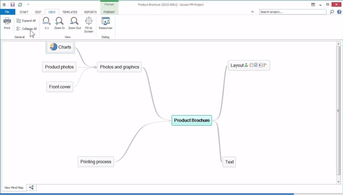 Video Tutorial: Create a Mind Map with InLoox PM 8 - InLoox